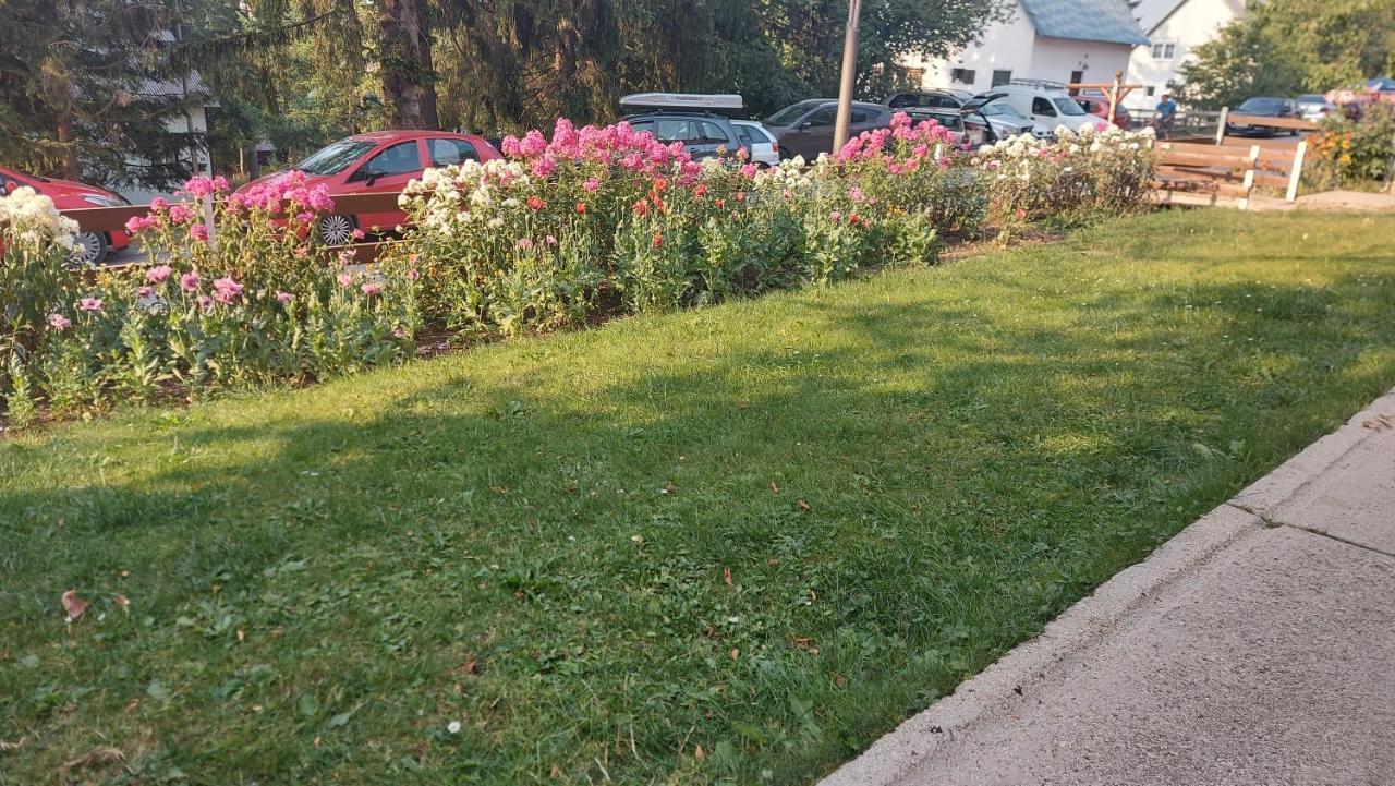 Guest House Milena Žabljak Zewnętrze zdjęcie