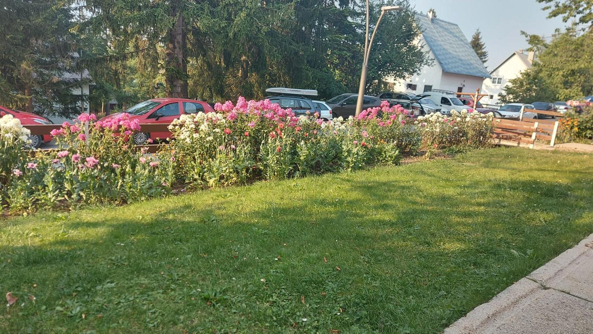 Guest House Milena Žabljak Pokój zdjęcie